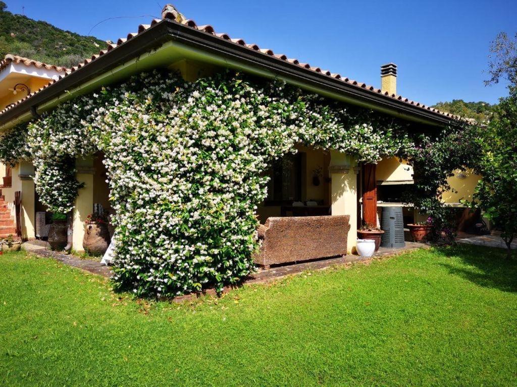 Villa Emilietta Villasimius Exteriér fotografie
